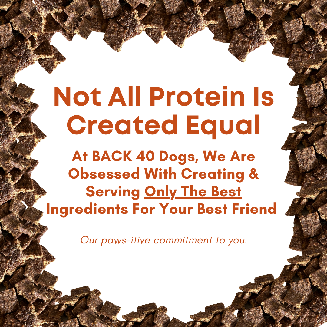 Beef Bites: All Natural Premium Air Dried Training Treats - 16oz