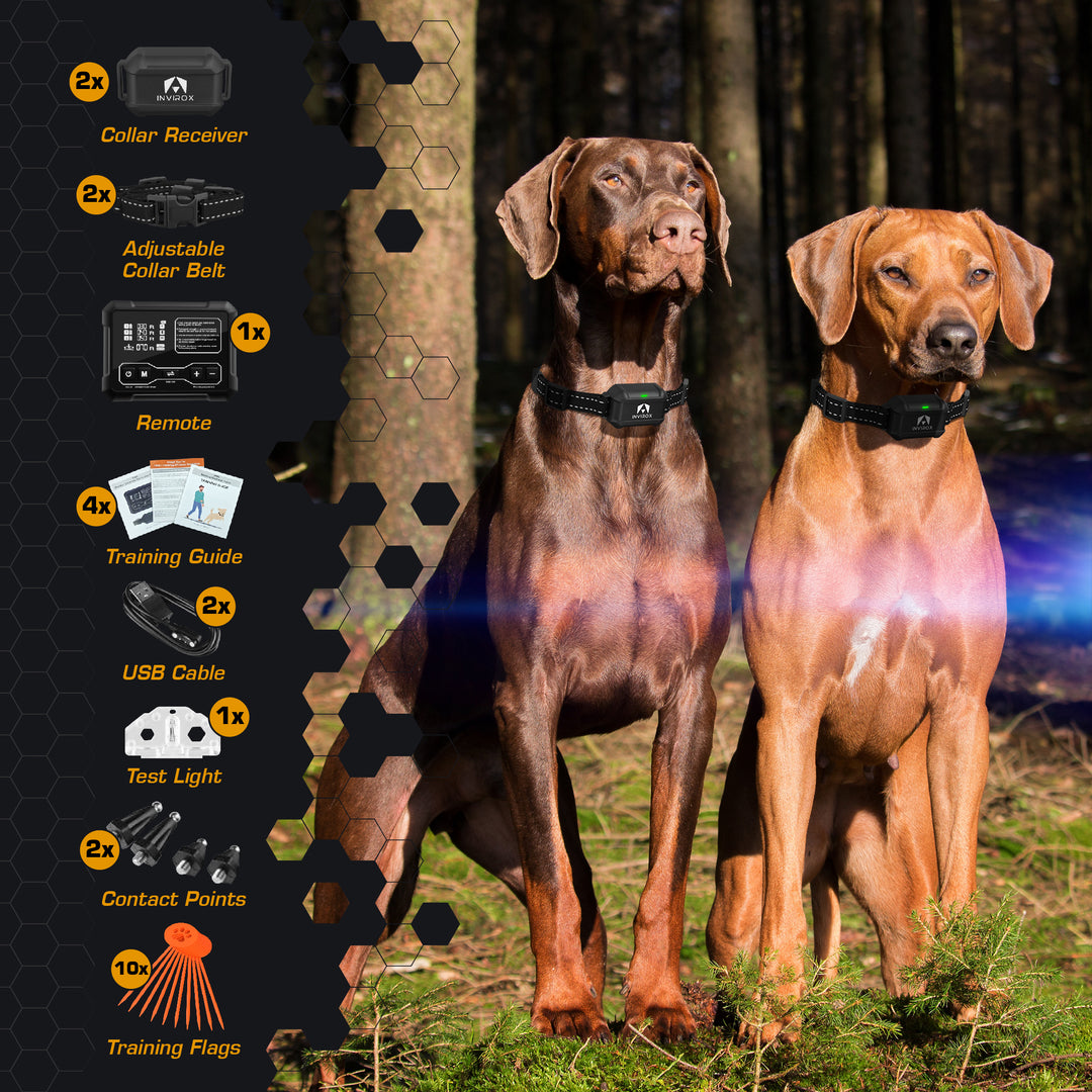 INVIROX RADAR WIRELESS INVISIBLE FENCE FOR 2 DOGS