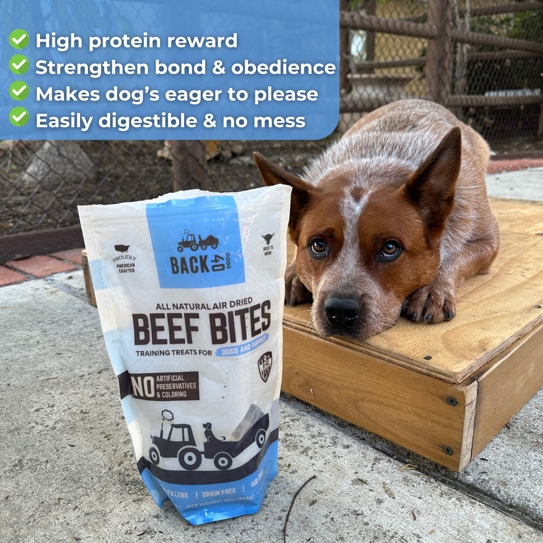 Beef Bites: All Natural Premium Air Dried Training Treats - 16oz