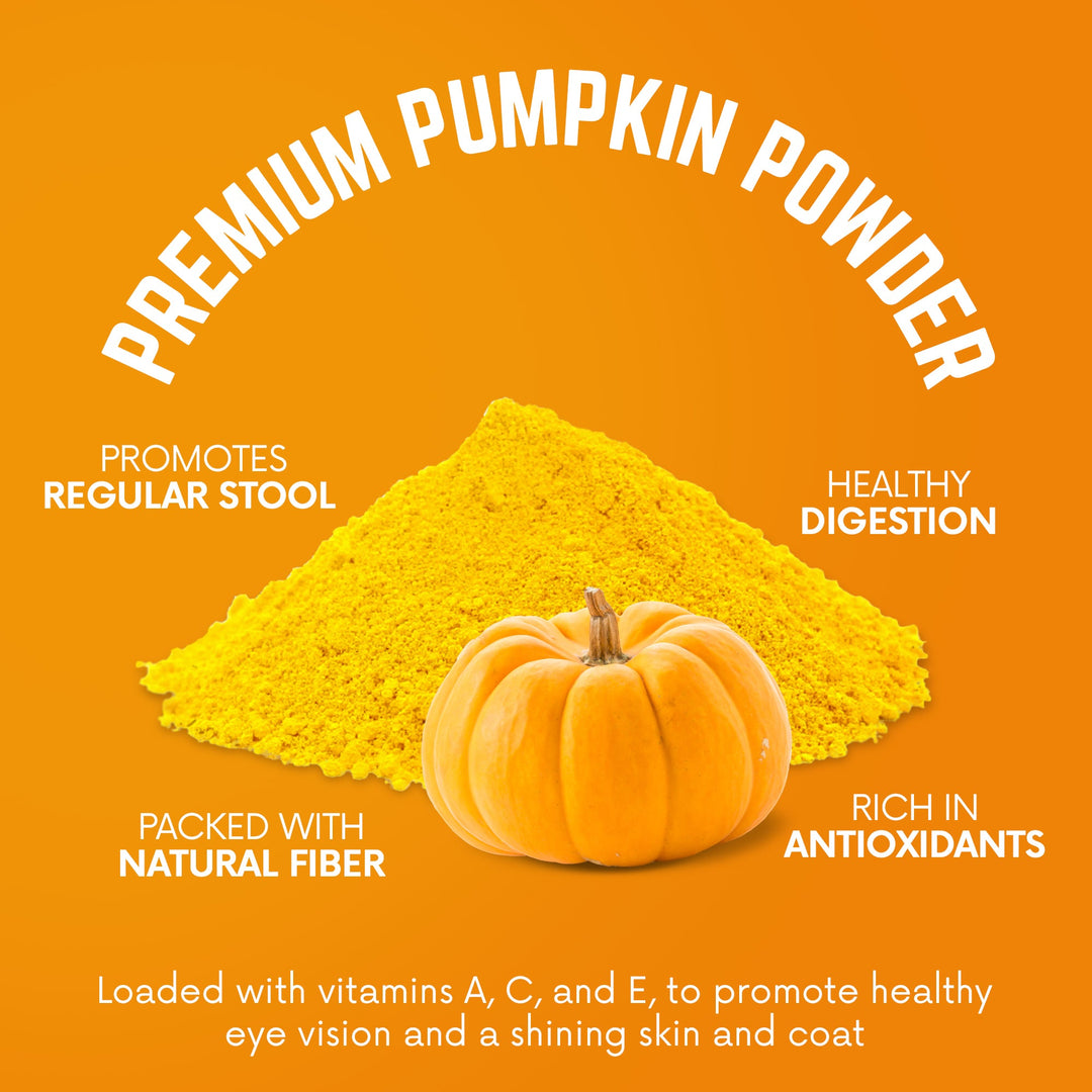 PUMPKIN POWDER