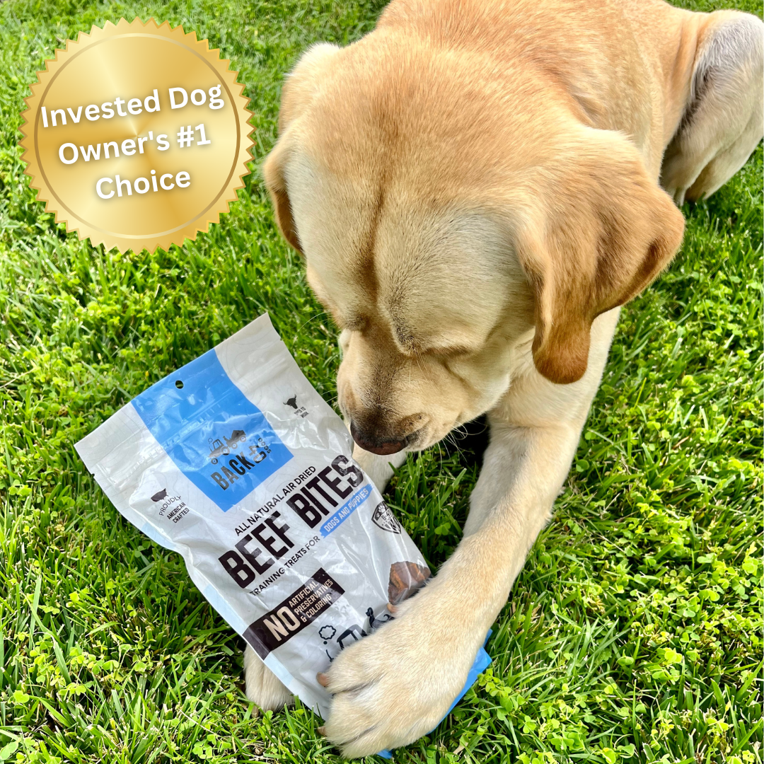 Beef Bites: All Natural Premium Air Dried Training Treats - 16oz