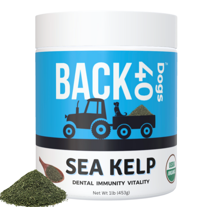 KELP SUPPLEMENT