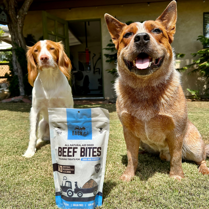 Beef Bites: All Natural Premium Air Dried Training Treats - 16oz