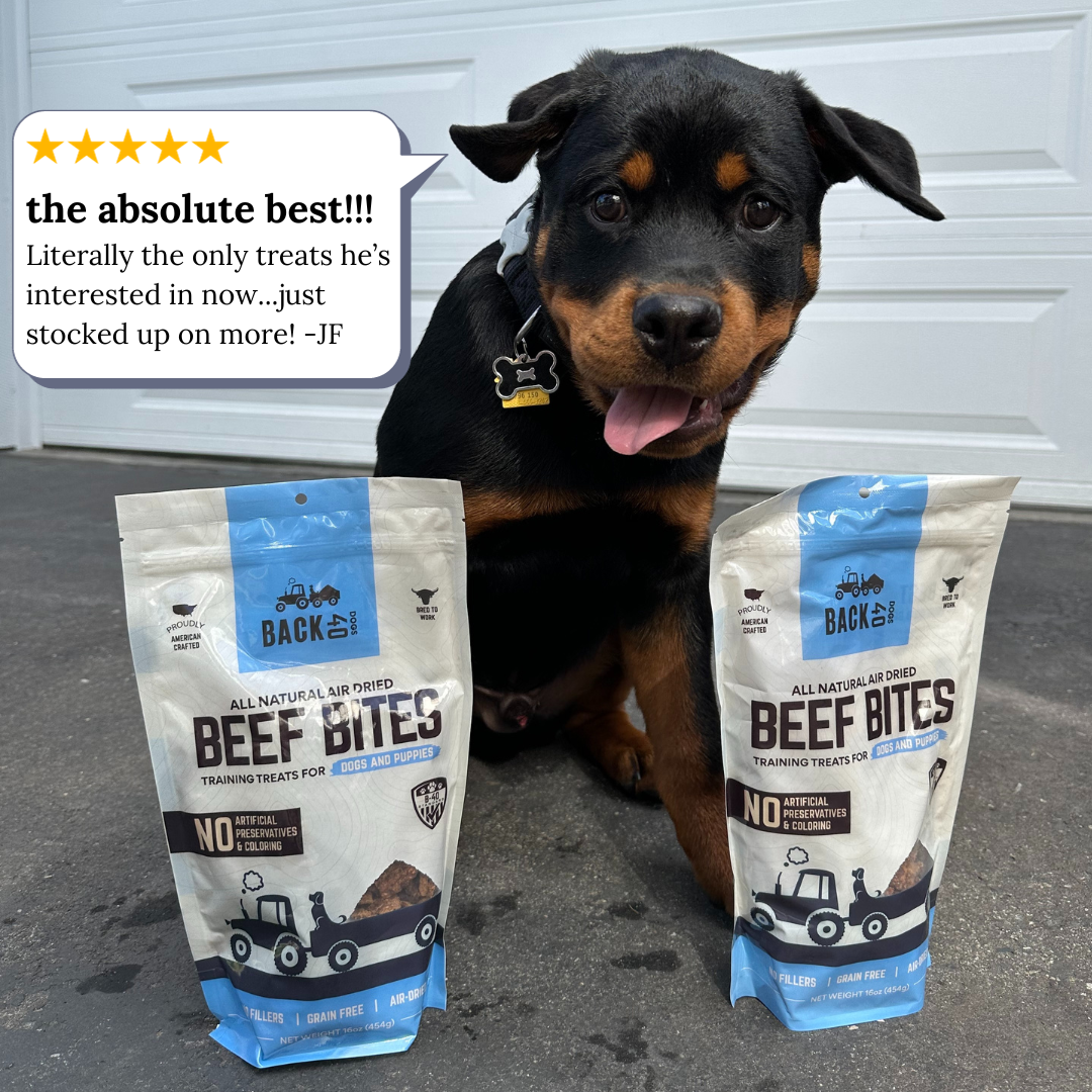 Beef Bites: All Natural Premium Air Dried Training Treats - 16oz