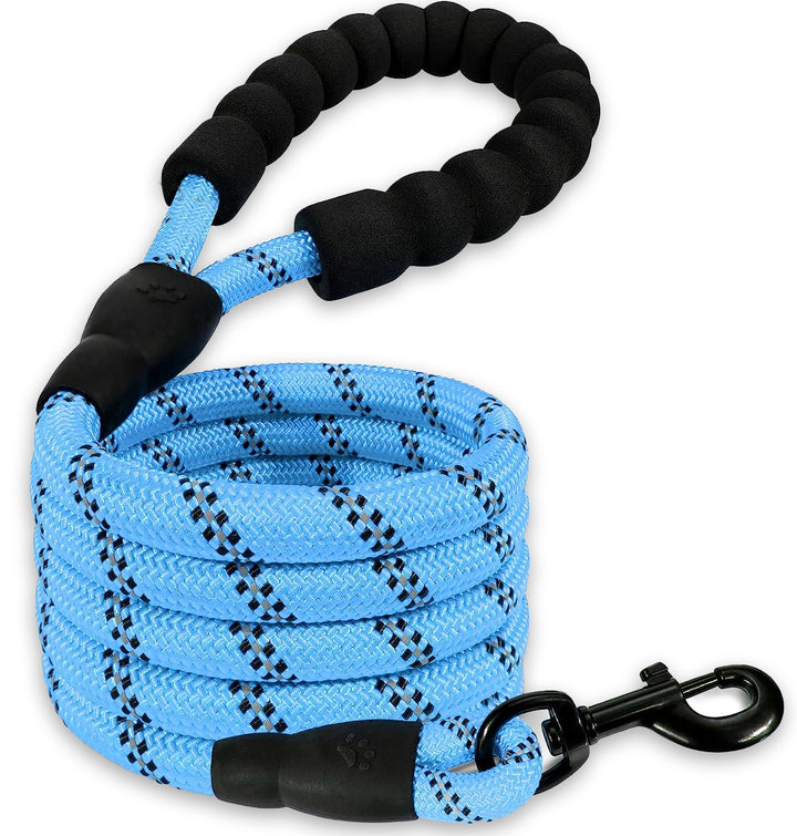 INVIROX Dog Leash - 5ft