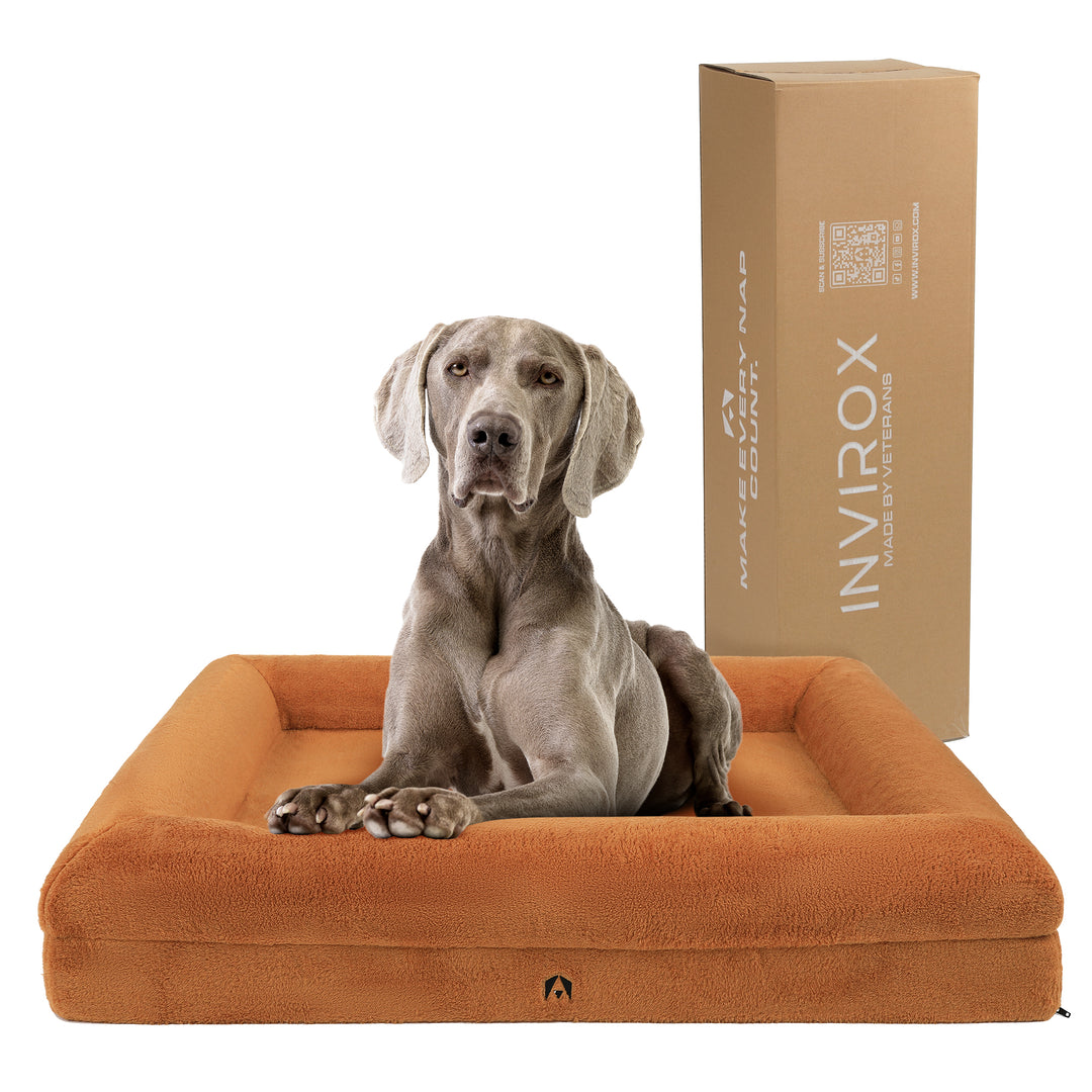 INVIROX LUXURY XL DOG BED - CertiPur-US Verified