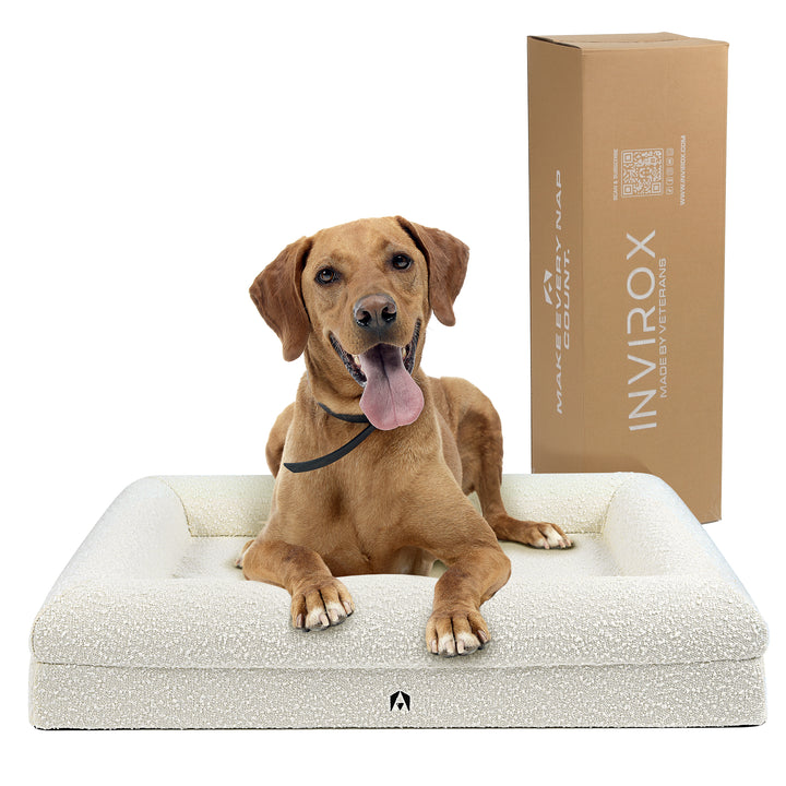 INVIROX LUXURY XL DOG BED - CertiPur-US Verified