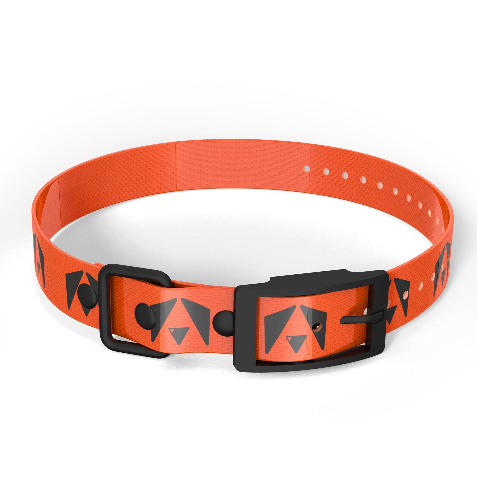 Zelda dog outlet collar