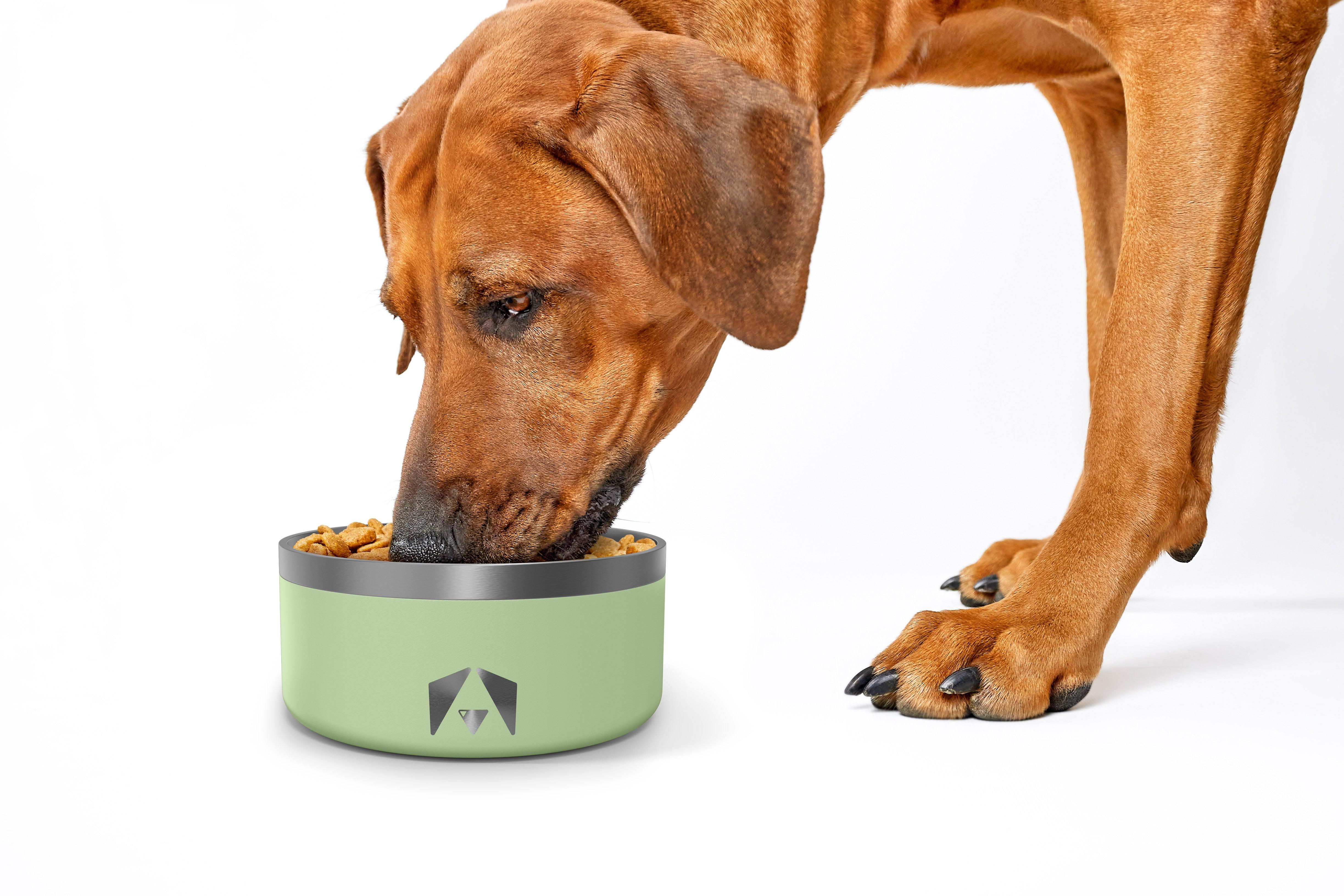 INVIROX Non Slip Stainless Steel Dog Bowl Durable and Easy to Clean INVIROX DOG TRAINING GEAR